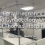 Early Pregnancy & Gynaecology Unit
